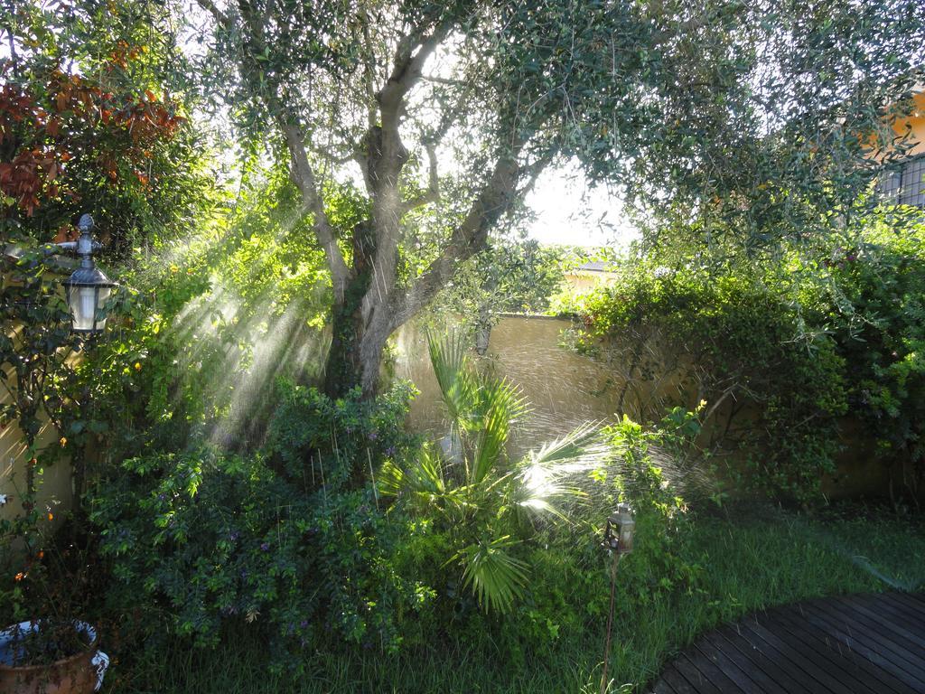 B&B Le Lanterne Casal Palocco Bagian luar foto