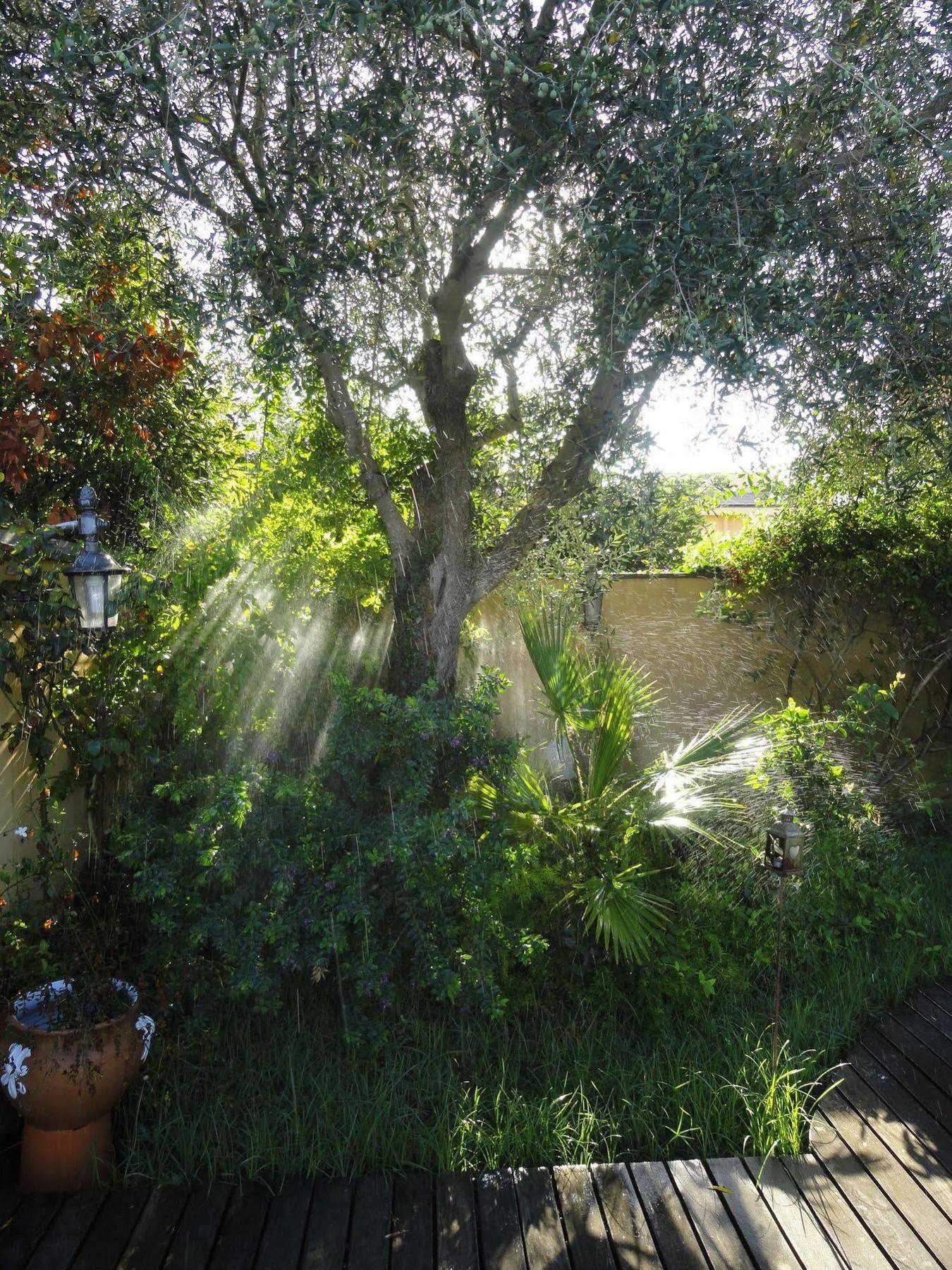 B&B Le Lanterne Casal Palocco Bagian luar foto